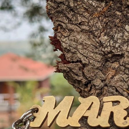 Villa Mars Jungle Adventure Stud Farm With Private Jacuzzi Narsinge Esterno foto
