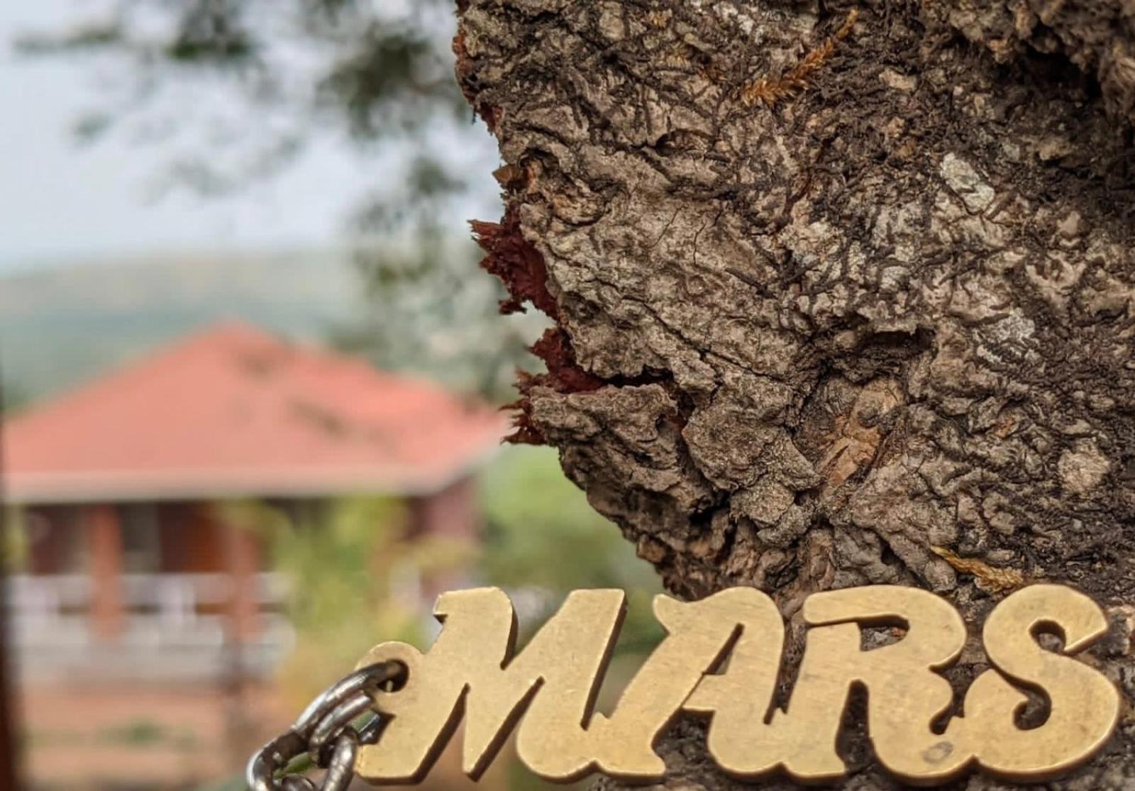 Villa Mars Jungle Adventure Stud Farm With Private Jacuzzi Narsinge Esterno foto