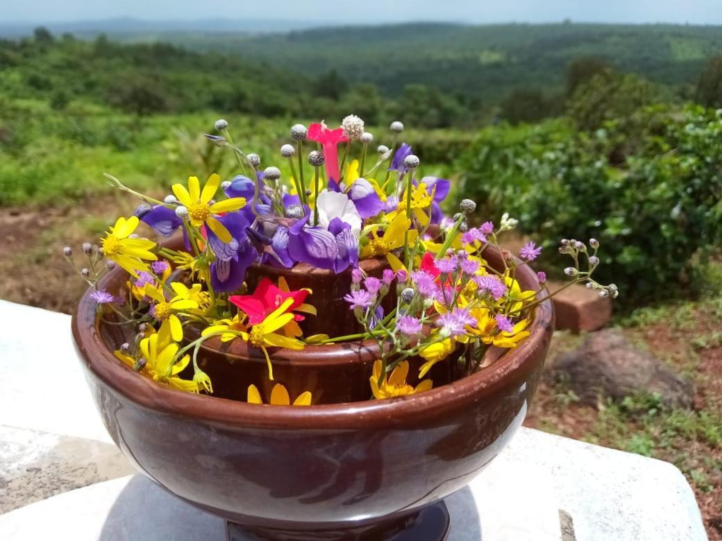 Villa Mars Jungle Adventure Stud Farm With Private Jacuzzi Narsinge Esterno foto