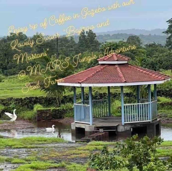 Villa Mars Jungle Adventure Stud Farm With Private Jacuzzi Narsinge Esterno foto